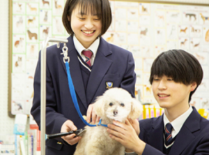 さくら国際高校　東京校では、2025年12月6日(土)学校説明会・オープンスクールを開催いたします。