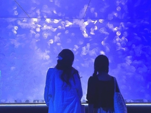 つくば開成高等学校 鹿嶋校は校外学習でアクアワールド茨城県大洗水族館へ行き、リニューアルしたイルカショーやショップを楽しんだり、きれいな展示の前で写真を撮ったり、生物の説明文を読んで納得したり疑問をもったりと、それぞれの学びを得る様子が見られました。